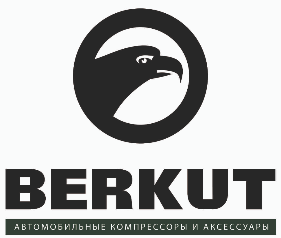 Компрессор автомобильный, портативный BERKUT R17