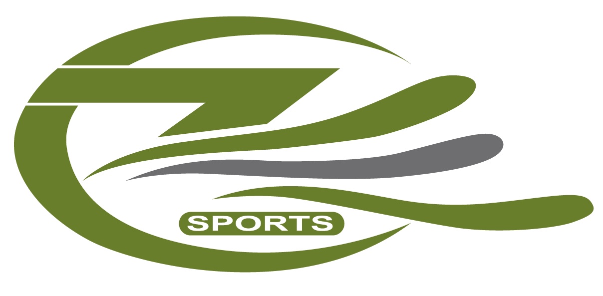 Z sports. Z Sport. Z-Sports ZS-950. Z-Sports r1239. Artisan ZS Sports line Jata 20100118.