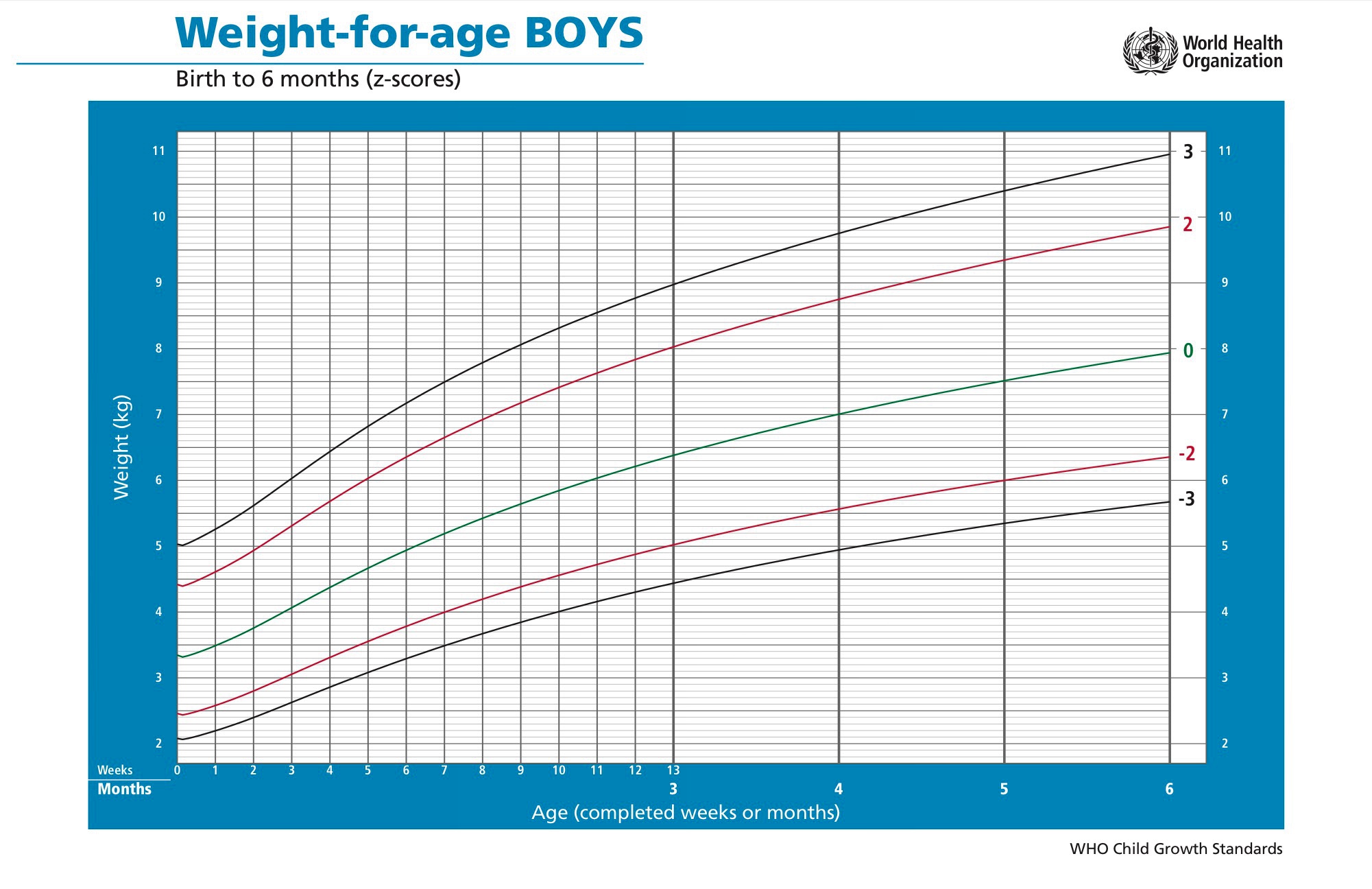График веса. Воз график веса мальчиков. Воз вес и рост диаграмма. Таблица воз рост мальчиков до года. График воз нормы веса и роста детей до года.