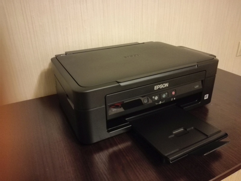 Обзор на Струйное МФУ Epson Stylus L222 - изображение 5