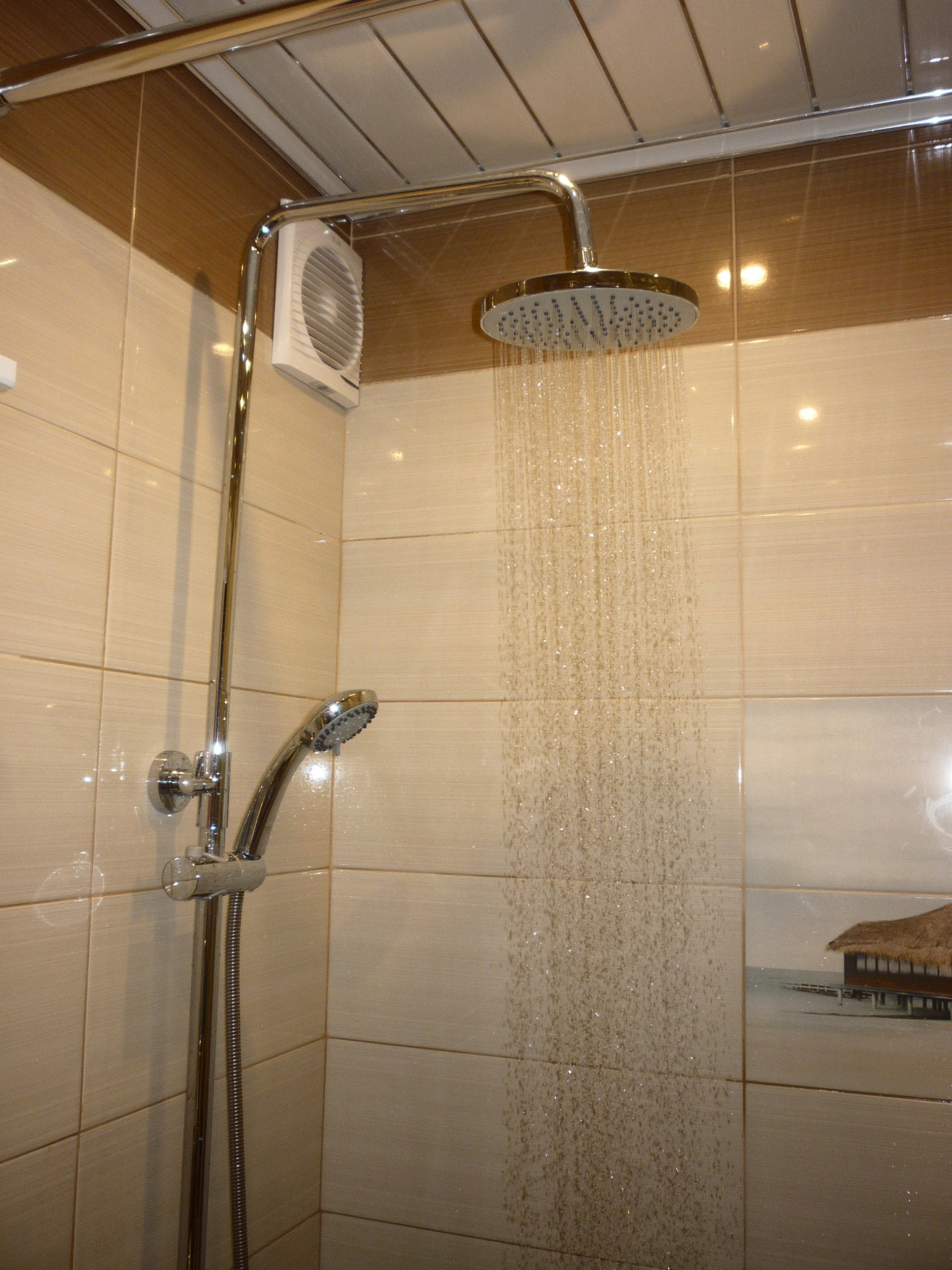 ванна с тропическим душем фото в квартире