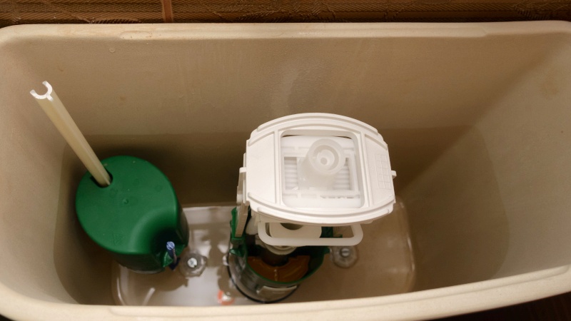 Ну давай, расскажи нам всем о кристально чистой воде в твоём аквариуме!