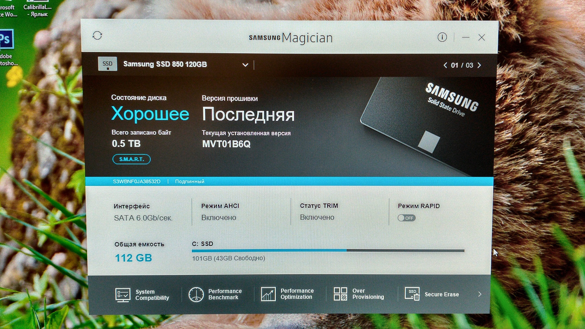 Не вижу ssd samsung. SSD Samsung MZ 7ln120bw. Samsung Magician SSD. SSD Samsung 850 120gb обзор. Samsung SSD Firmware.