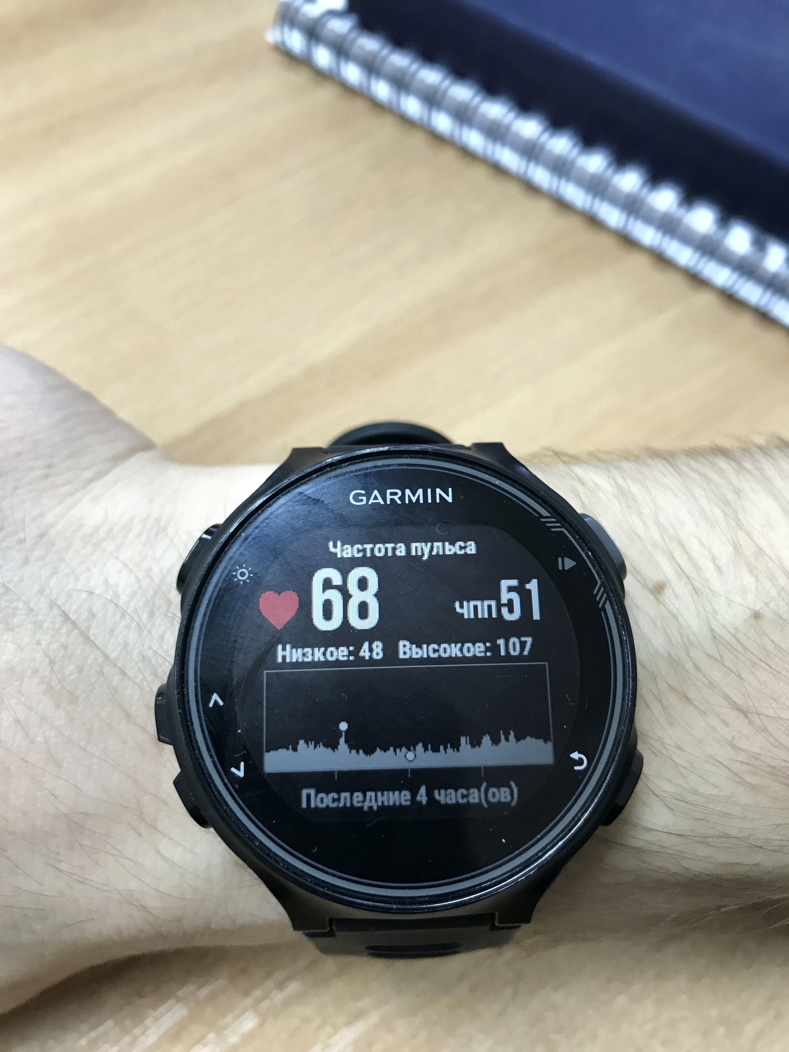 GARMIN Forerunner 735XT HRM Run