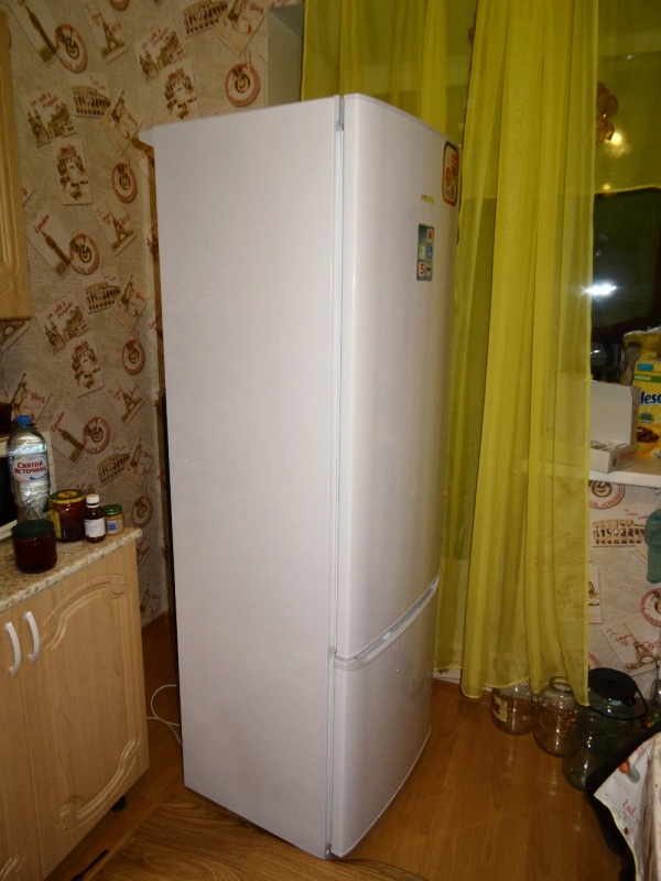 Обзор на Холодильник POZIS RK-103 A - изображение 2