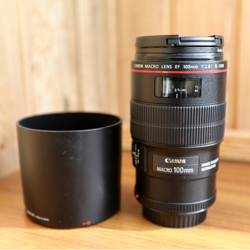 Ef 100mm f 2.8 l macro. Canon 100 mm f2.8 macro. ef 100mm f/2.8l macro is usm. canon 100mm. canon ef 100 mm f/2 usm macro.