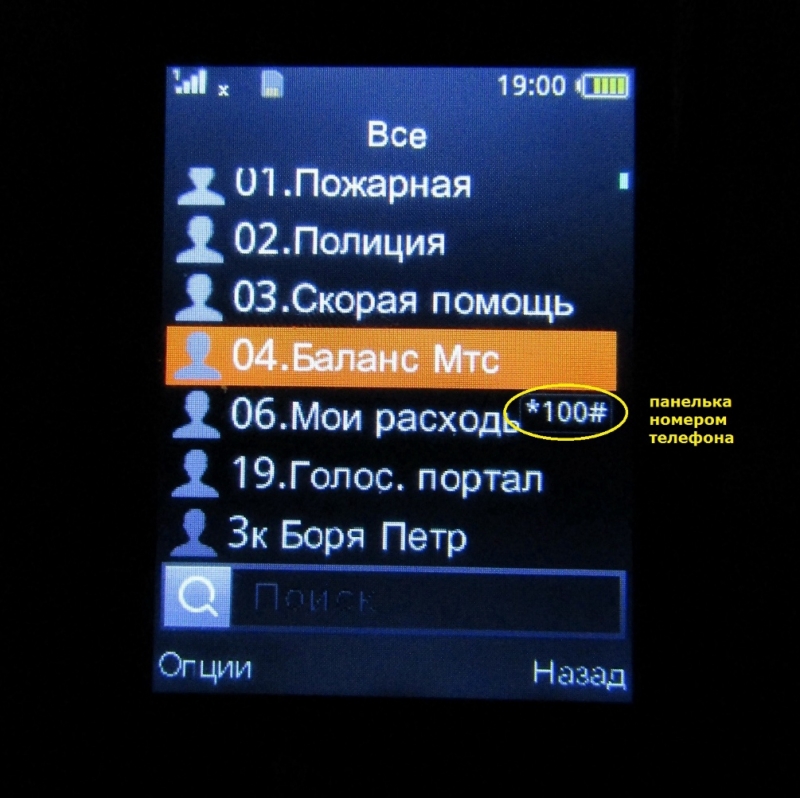 Обзор на Мобильный телефон Philips Xenium E169 Dark Gray - изображение 5
