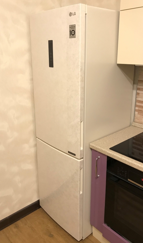 Обзор на Холодильник LG GA-B459CESL - изображение 1