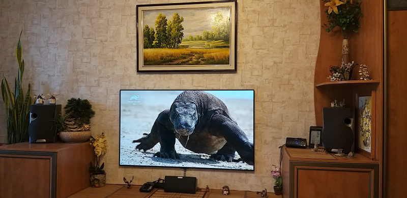 Установка lg oled 55g1rla на стену