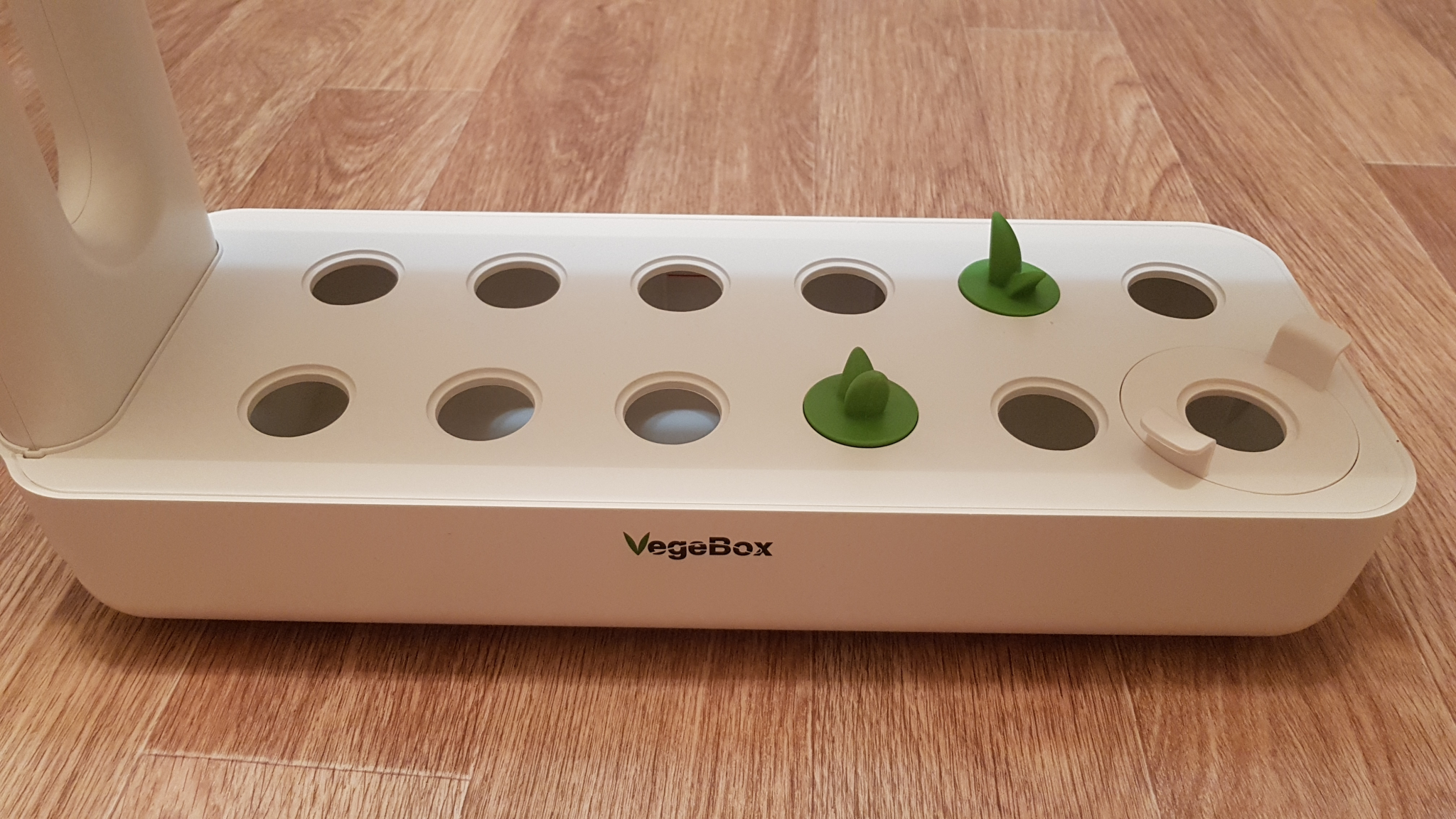 Обзор от покупателя на Кухонная Садовая ферма VEGEBOX K-Box —  интернет-магазин ОНЛАЙН ТРЕЙД.РУ