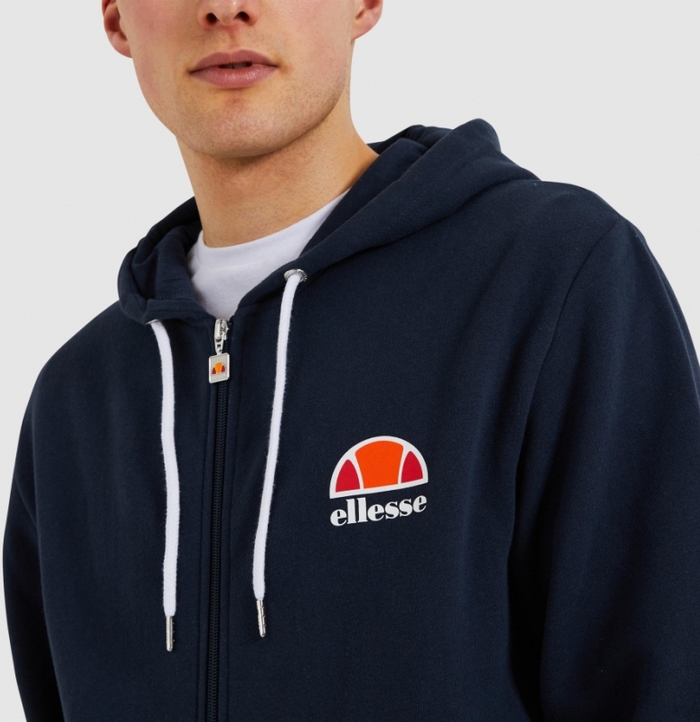 Худи ellesse мужская. Худи мужская Ellesse Thierry. Худи мужская Ellesse Viridus. Худи Ellesse темно синяя.