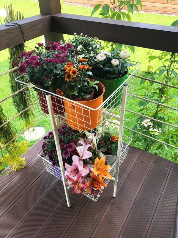 Этажерка для домашних цветов