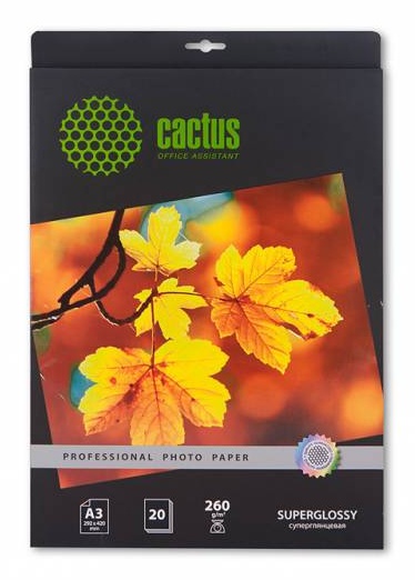 Фотобумага Cactus CS-HGA326020 Professional суперглянцевая А3 260 г/м2 20 листов- купить по выгодной цене в интернет-магазине ОНЛАЙН ТРЕЙД.РУ Тула