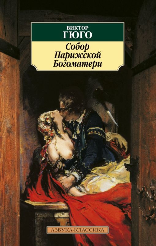 Собор парижской богоматери книга