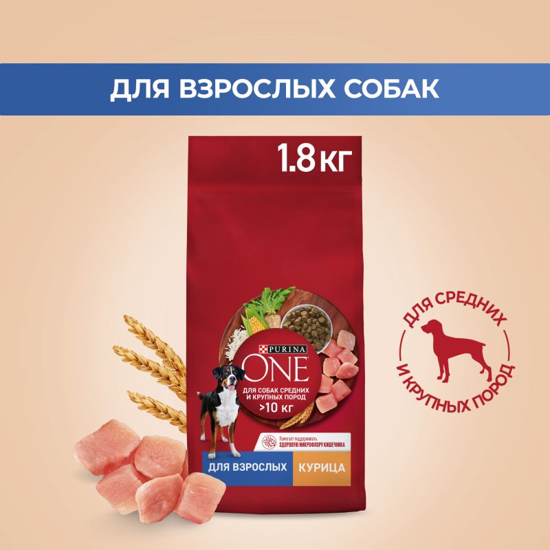 Купить корм сухой для собак Purina ONE для средних и крупных пород с курицей и рисом 1.8 кг 76519 в интернет-магазине ОНЛАЙН ТРЕЙД.РУ