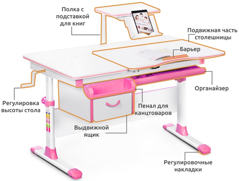 Парта mealux evo 40