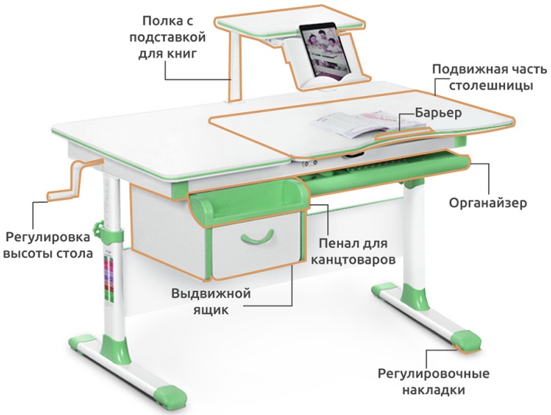 Парта mealux evo 40