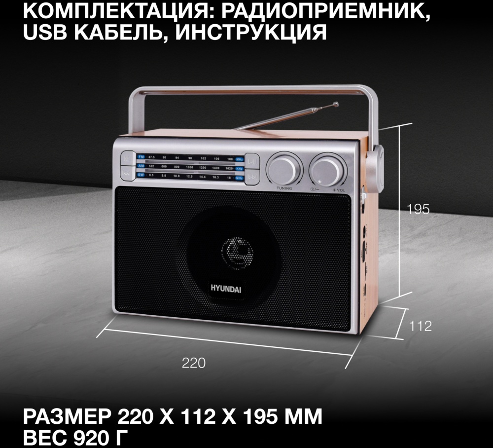 Радиоприемник Hyundai H-SRS105, коричневый — купить в интернет-магазине ...