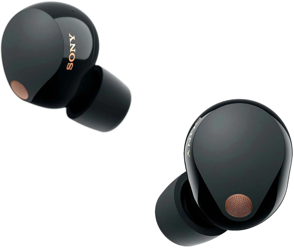 Беспроводные наушники Sony WF-1000XM5, черный WF-1000XM5/BC — купить по ...
