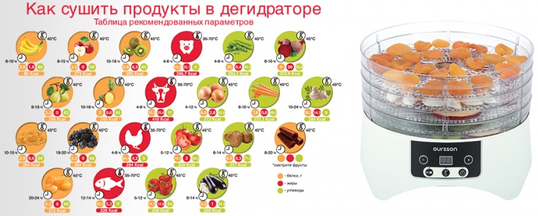 Бизнес по сушке овощей и фруктов пример план