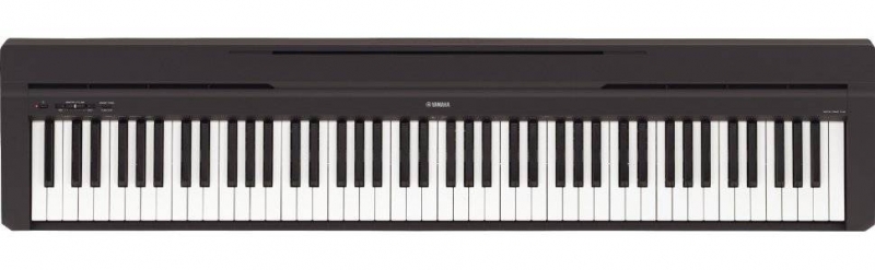 yamaha np45b