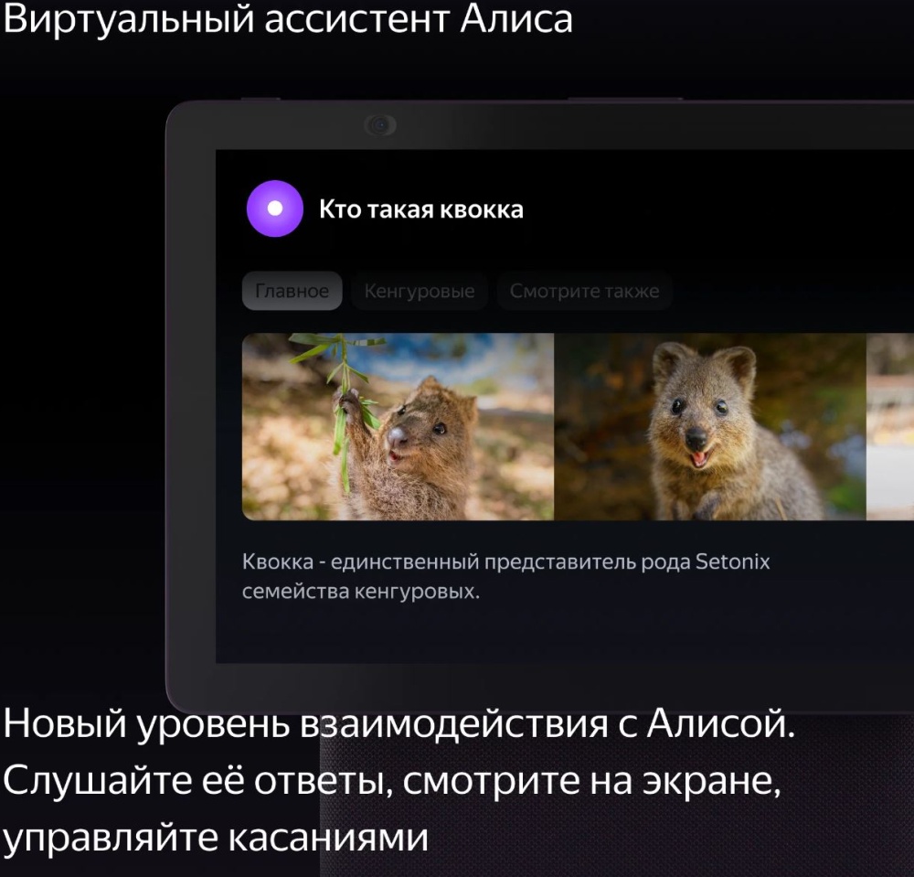 Как подключить алису дуо макс. Как подключить алису дуо макс