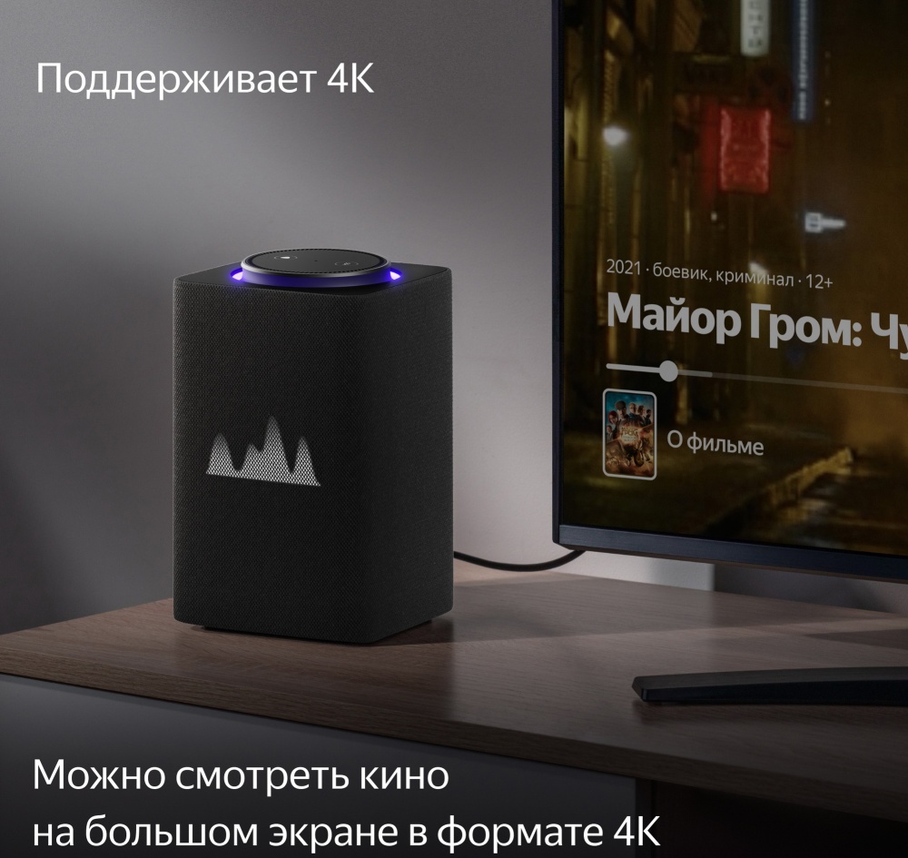 Купить Умная колонка Яндекс Станция Макс с Zigbee, графит YNDX-00053 K ...