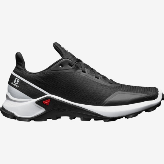 Кроссовки SALOMON ALPHACROSS Black/White/Monumen мужские, цвет чёрный, рус.  размер 10.5 — купить в интернет-магазине ОНЛАЙН ТРЕЙД.РУ