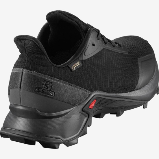 Кроссовки SALOMON ALPHACROSS GTX Black/Ebony/Bla мужские, цвет чёрный, рус.  размер 11.5 — купить в интернет-магазине ОНЛАЙН ТРЕЙД.РУ
