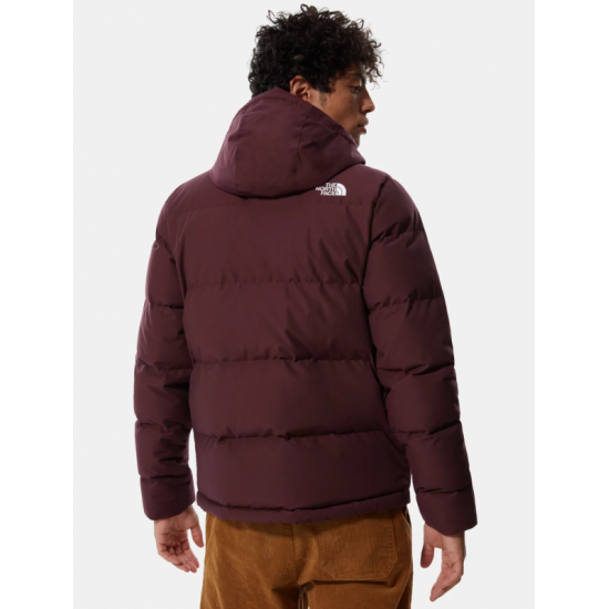 North face deals box canyon jacket