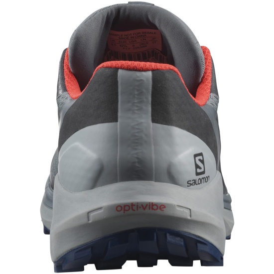 Кроссовки SALOMON SENSE RIDE 4 INVISIBLE GTX Sto мужские, цвет серый,  размер 10 — купить в интернет-магазине ОНЛАЙН ТРЕЙД.РУ