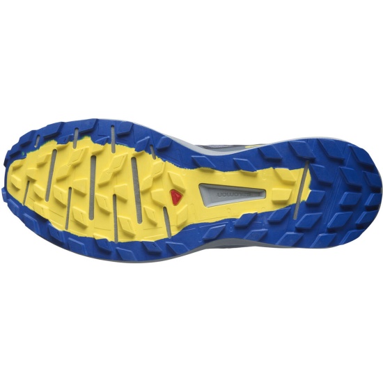 Кроссовки SALOMON SENSE RIDE 4 INVISIBLE GTX Sto мужские, цвет серый,  размер 10 — купить в интернет-магазине ОНЛАЙН ТРЕЙД.РУ