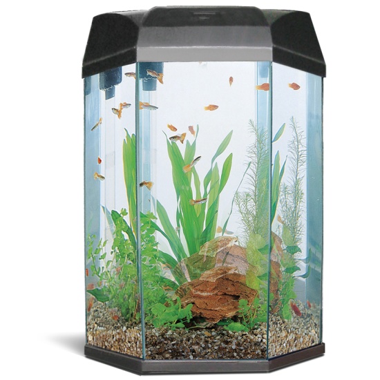 Аквариум AA Aquarium Hexagon, 22л, черный, 33х30х43,3 см — купить в ...