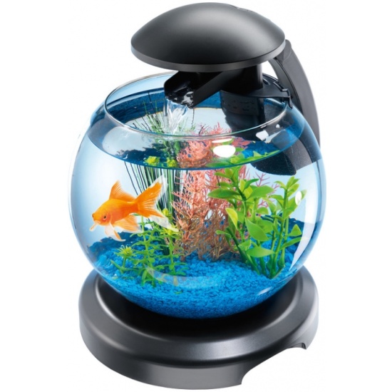 Aquascape Promotion: Акваскейпинг: Дизайн аквариума