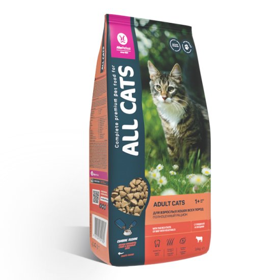 Кот шаман. Cats menu корм для кошек. Cats arena turbo stars. ). Crash arena turbo stars.