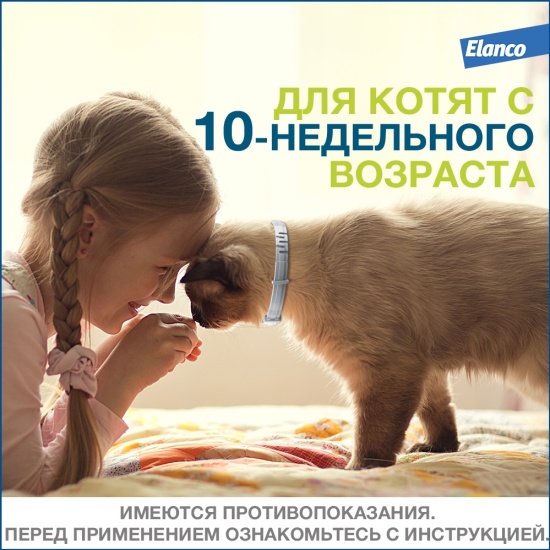Ошейник Elanco Форесто для кошек и котят, от клещей и блох 38 см. ТГ ...