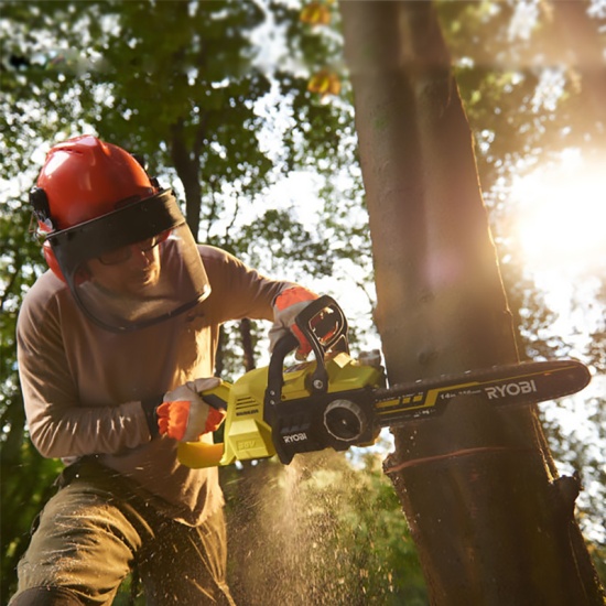 Max power ryobi 2025