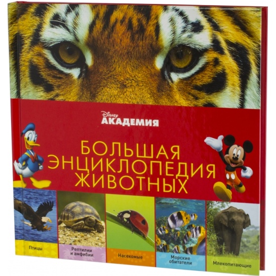 Большая энциклопедия с картинками