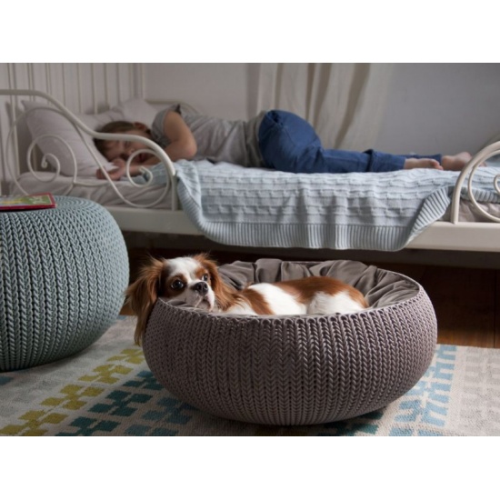 Curver sales pet bed