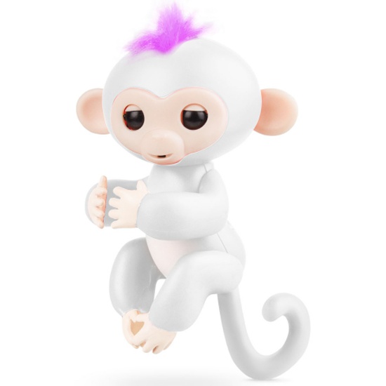 White best sale finger monkey