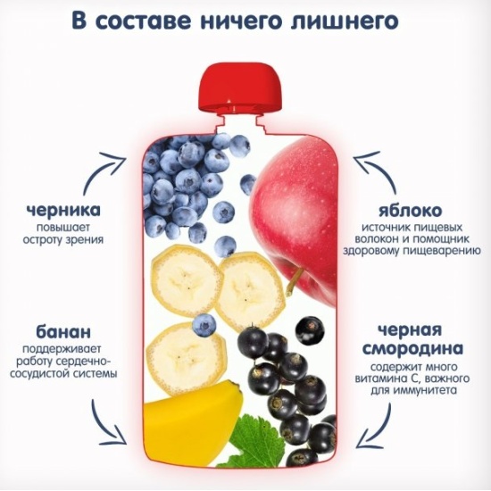 Купить Пюре Fleur Alpine Organic (Флёр Альпин Органик) Яблоко Банан ЧернаяСмородина и Черника с 6 мес 120 г (пауч) (6 штук в упаковке) 5024688001093в интернет-магазине ОНЛАЙН ТРЕЙД.РУ