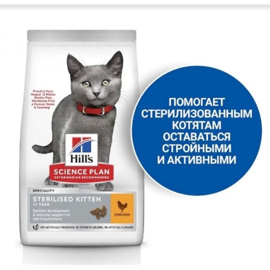 Science plan kitten sales