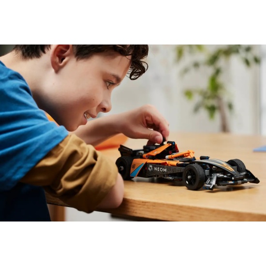  LEGO TECHNIC NEOM      42169?