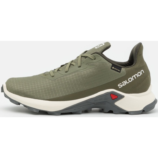 Кроссовки SALOMON ALPHACROSS 3 GTX Deep Lichen G мужские, цвет хаки, размер  8.5 — купить в интернет-магазине ОНЛАЙН ТРЕЙД.РУ