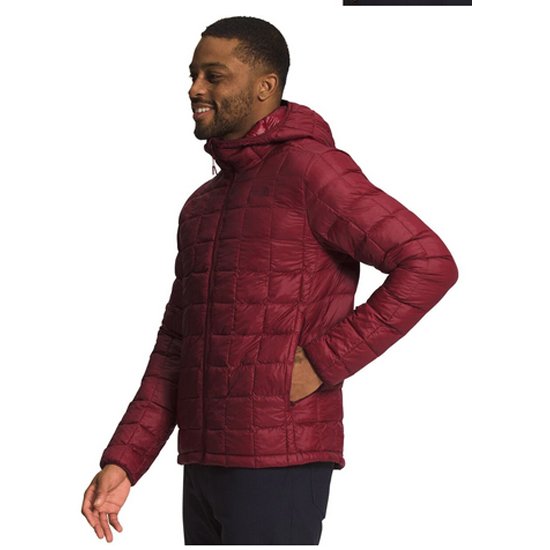 The north face men's shop thermoball hoodie jacket