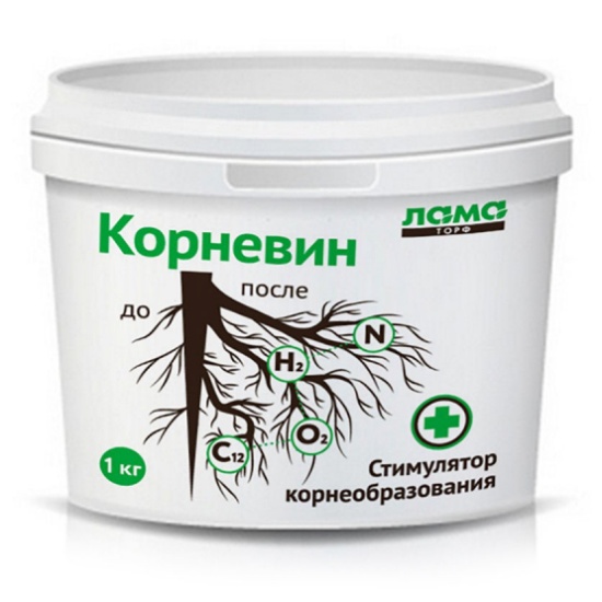Корневин Вайлдберриз