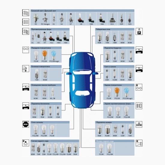 Типы цоколей автомобильных ламп с картинками