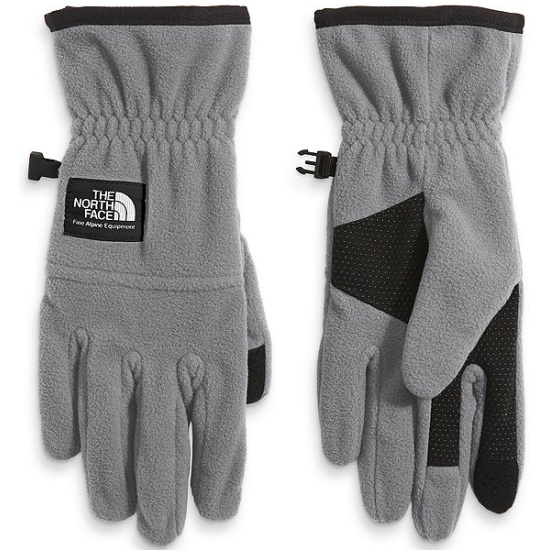 Перчатки THE NORTH FACE Etip™ Heavyweight Fleece Glove NF0A7RJ6A91 ...