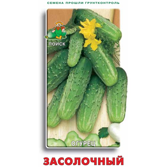 Огурцы засолочные фото