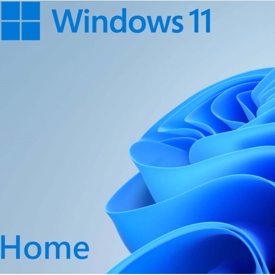 Программное обеспечение Microsoft Windows Home 11 64-bit English USB ...